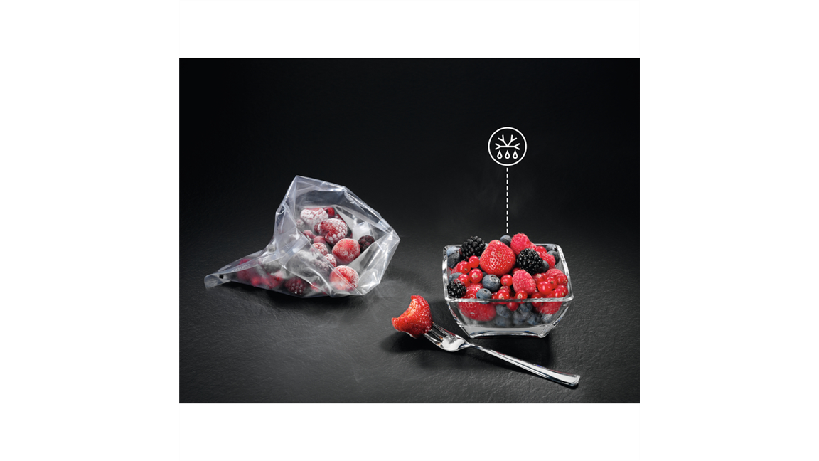 DEFROST GENTLY. RETAIN TASTE.