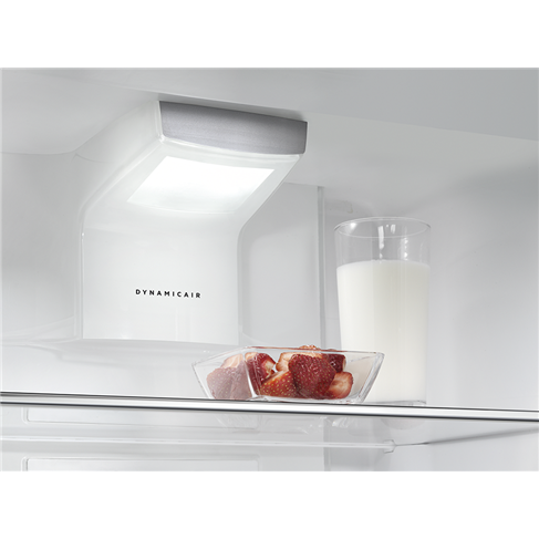 Fridges-SKE81821DC-34142